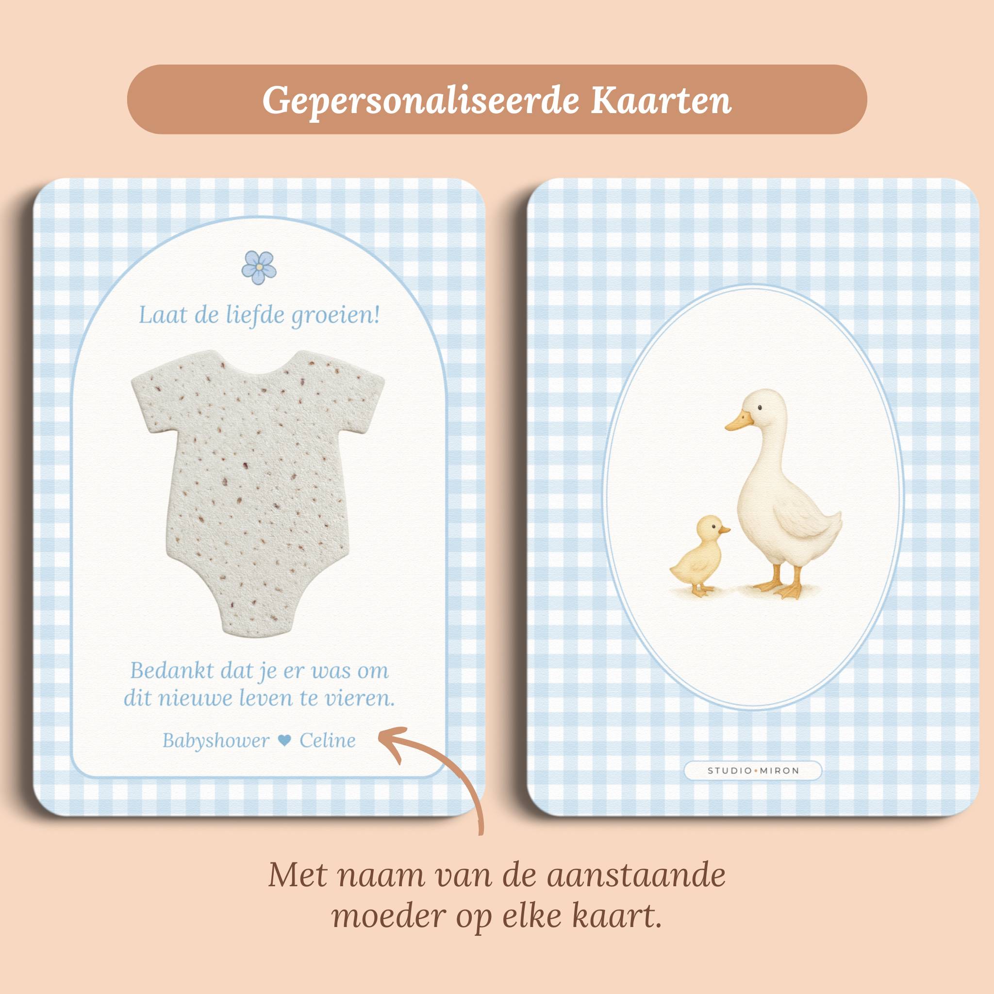 Zaadpapier Rompertje Cadeau | Gingham Blauw