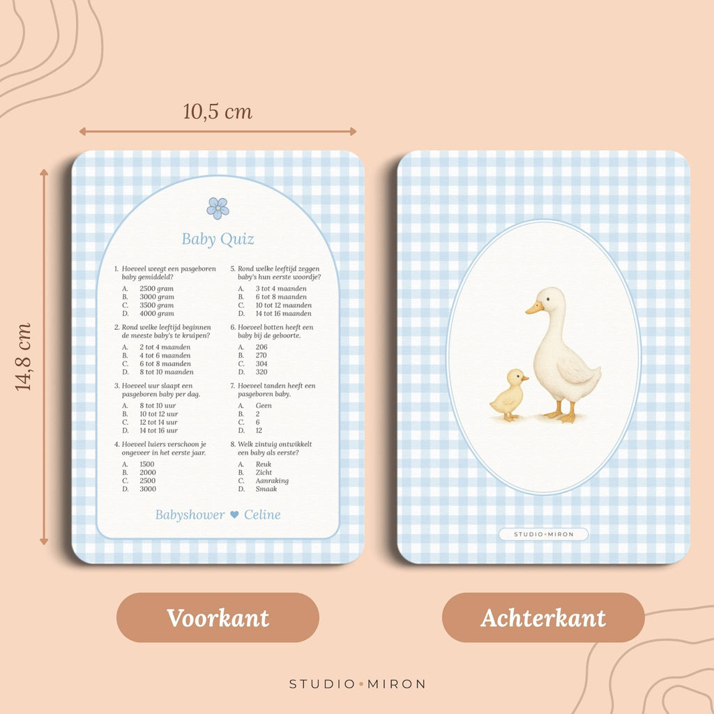 Baby Quiz | Gingham Blauw