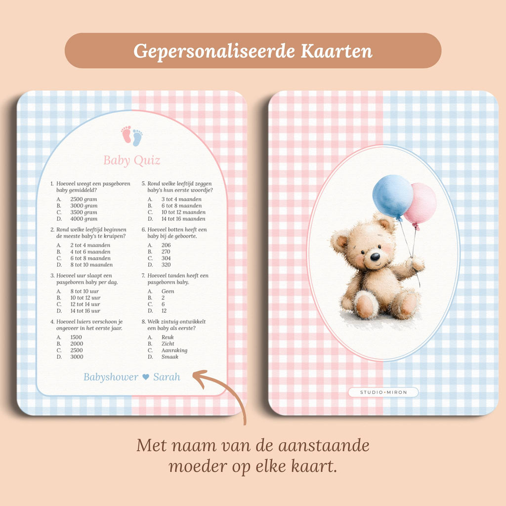 Baby Quiz | Gingham Roze-Blauw