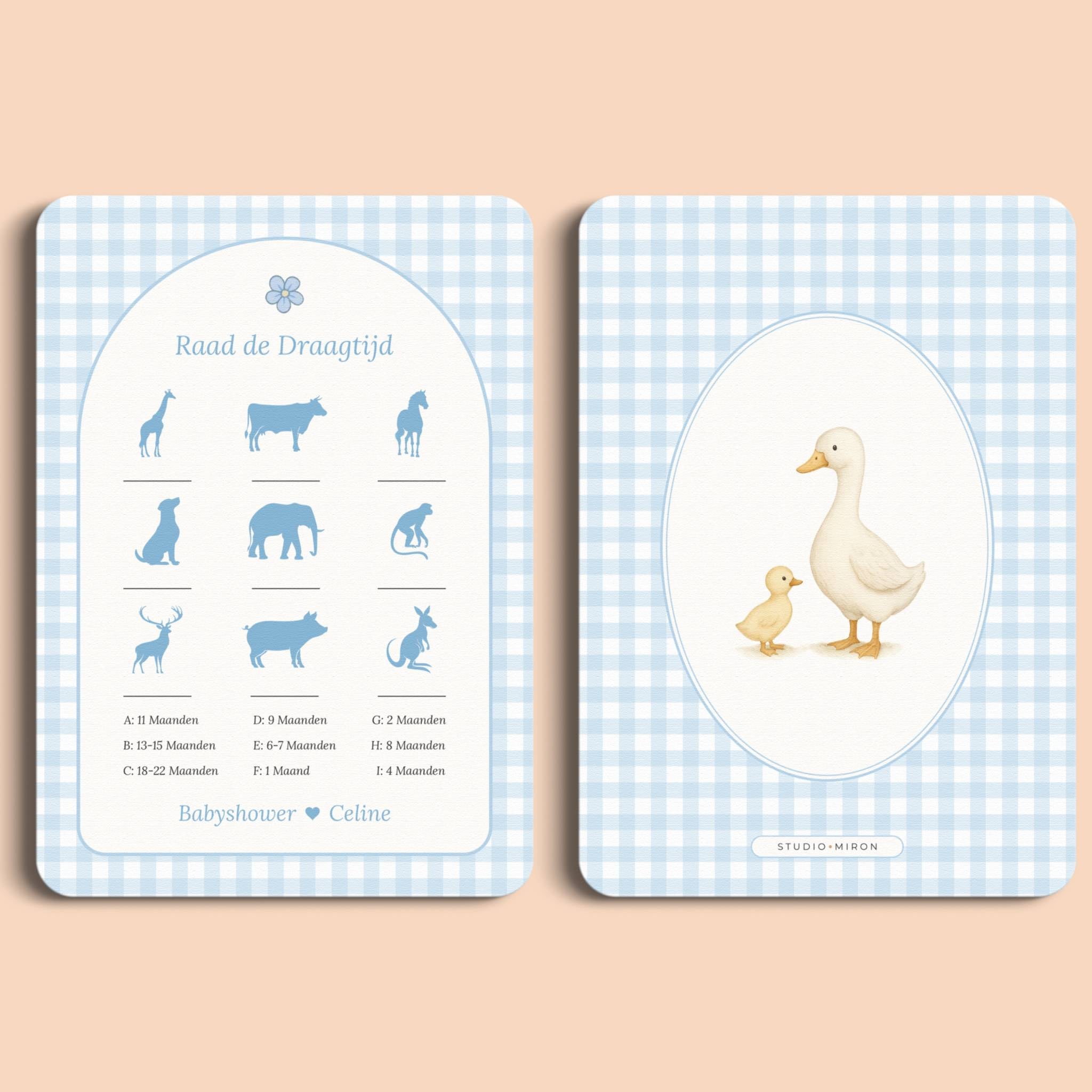 Raad de Draagtijd | Gingham Blauw