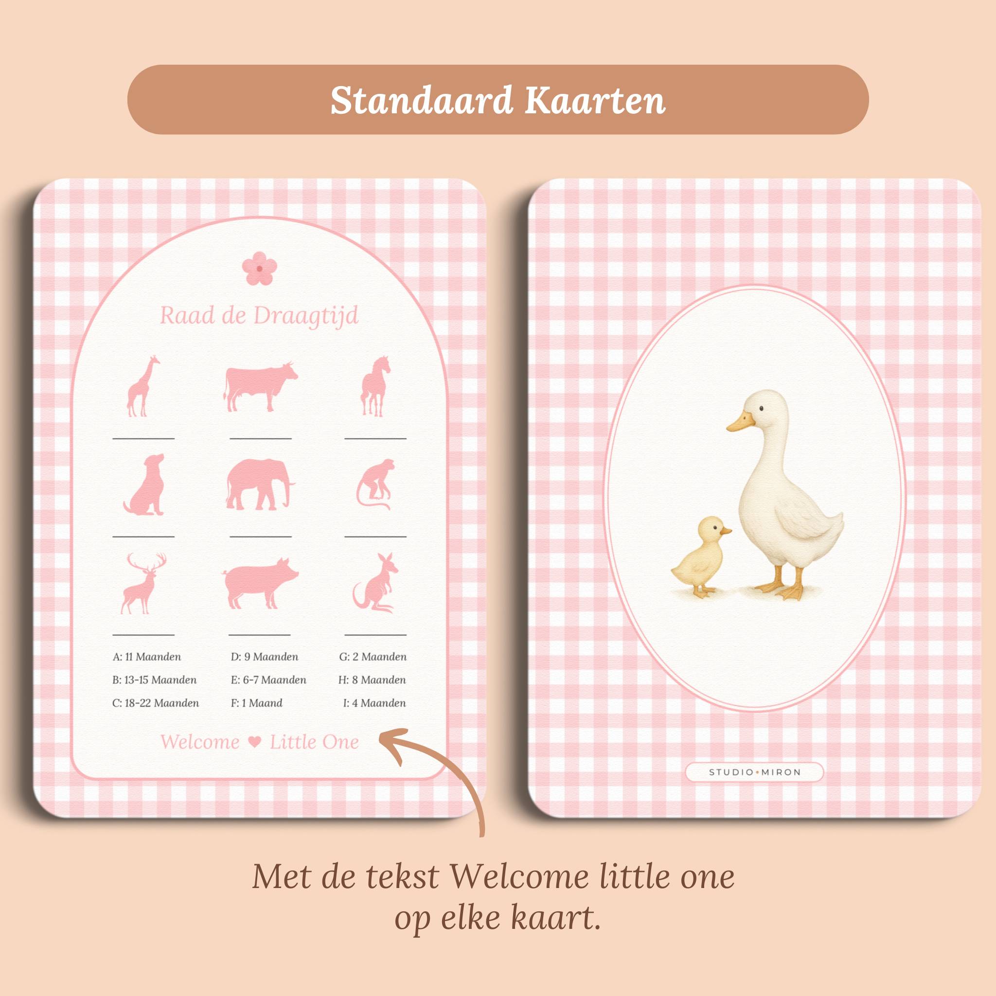 Raad de Draagtijd | Gingham Roze